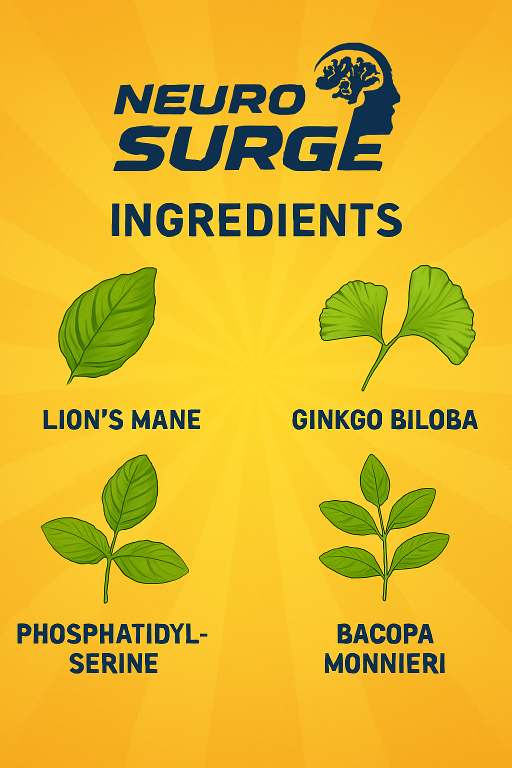 Neuro Serge Ingredients